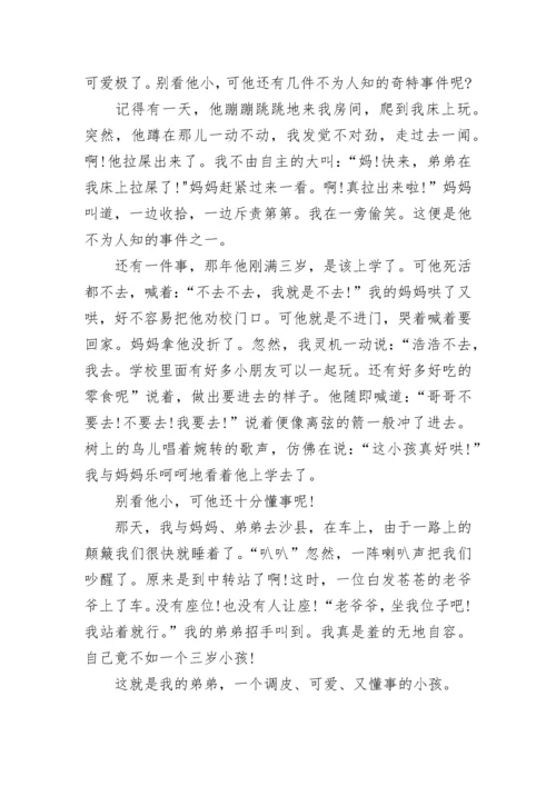 我的弟弟作文小学一年级600字.docx
