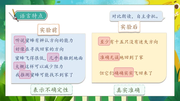 【核心素养】部编版语文三年级下册-14. 蜜蜂 第2课时（课件）