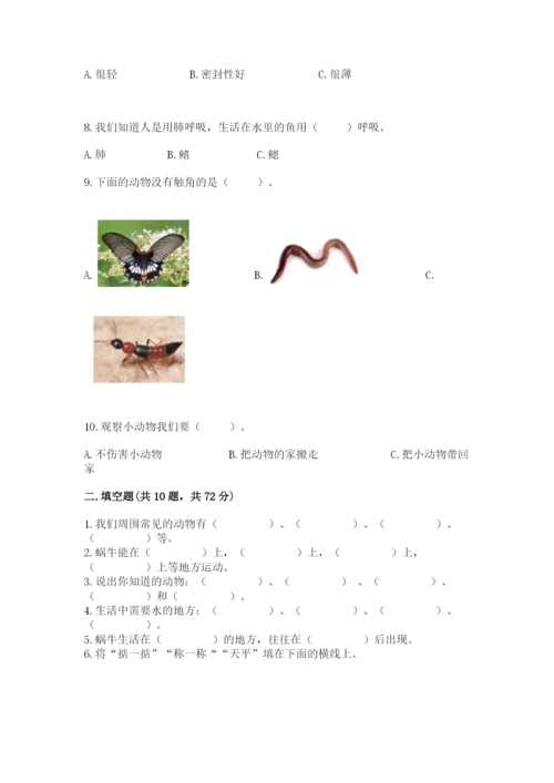 教科版一年级下册科学期末测试卷含完整答案【网校专用】.docx