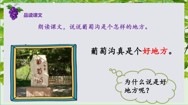 第11课《葡萄沟》课件
