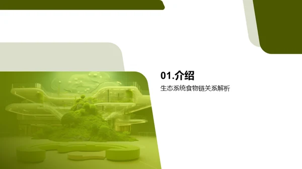 揭秘生态食物链