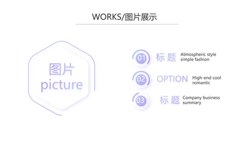 简约时尚大气公司产品介绍宣传PPT