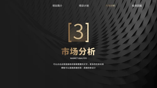 黑金风格项目介绍企业宣传公司介绍招商融资商业计划书PPT模板