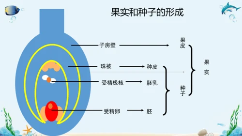 人教版八年级下册生物复习课件