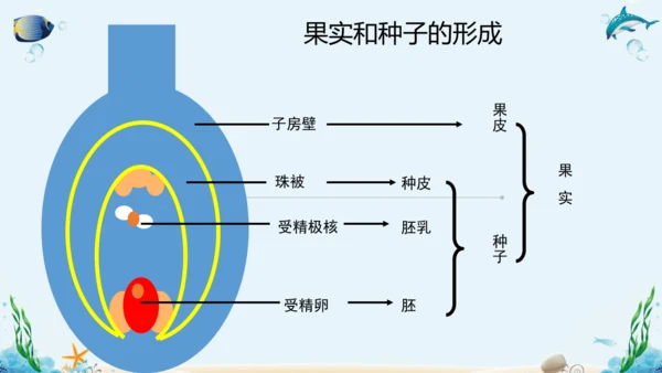 人教版八年级下册生物复习课件