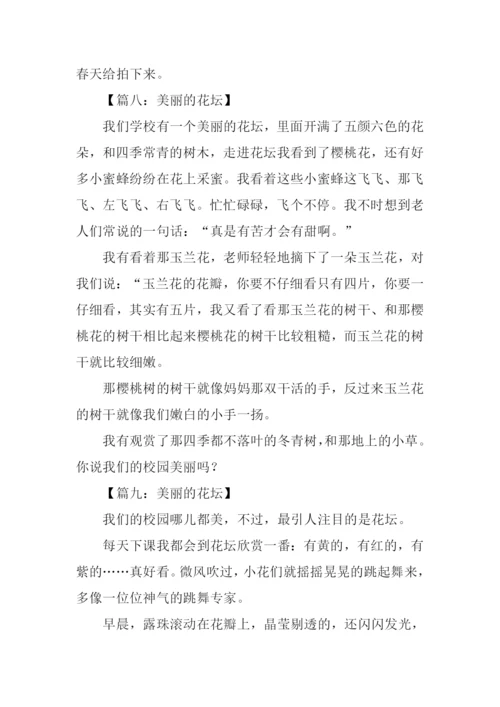 美丽的花坛作文300字.docx