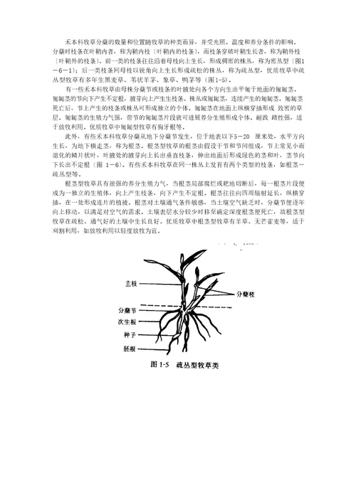 优质牧草高产栽培与利用牧草的生物学特性第一节牧草的生长发育