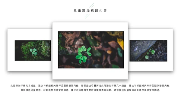唯美绿色植物发芽植物生长敬畏生命PPT模板