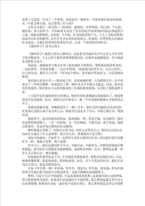 热门骆驼祥子读书心得
