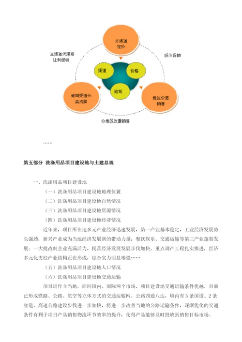 洗涤用品可研报告模板.docx