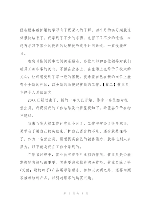 营业员年终个人总结范文.docx