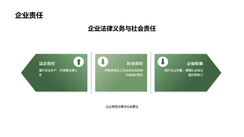 绿色发展：安全与环保
