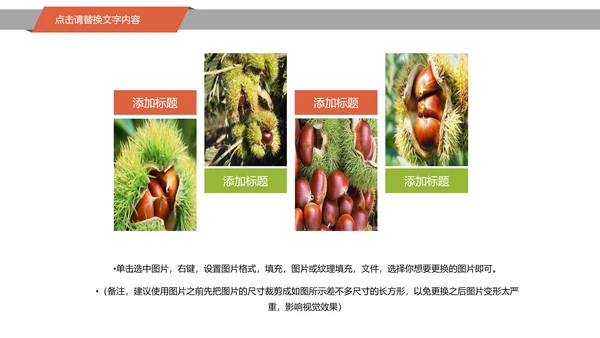 美食坚果板栗宣传动态PPT模板