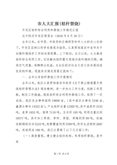 市人大汇报(秸秆禁烧).docx