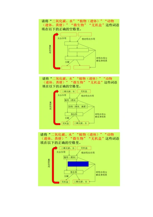 人教版初中生物八年级上册5.3-动物在生物圈中的作用-教案.docx