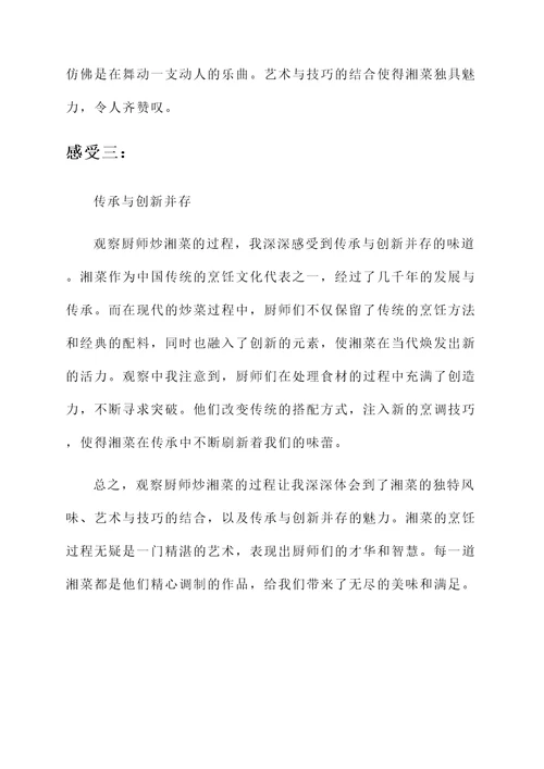 看厨师炒湘菜的感想