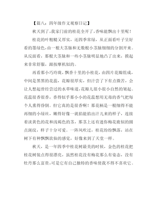 四年级作文观察日记.docx