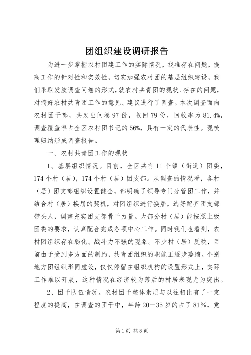 团组织建设调研报告 (7).docx