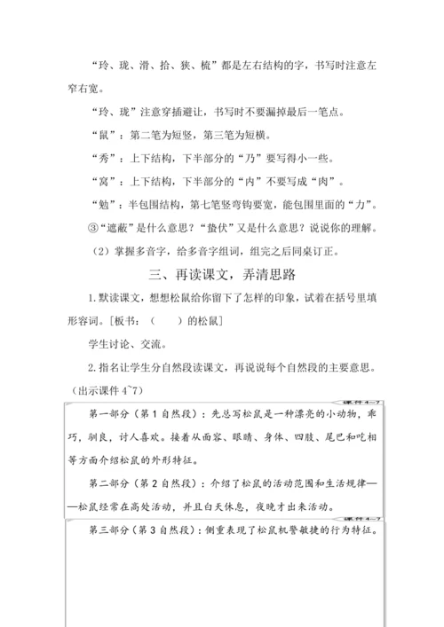 17 松鼠 教案