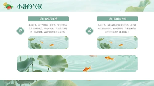 绿色简约清新小暑课件通用PPT模板