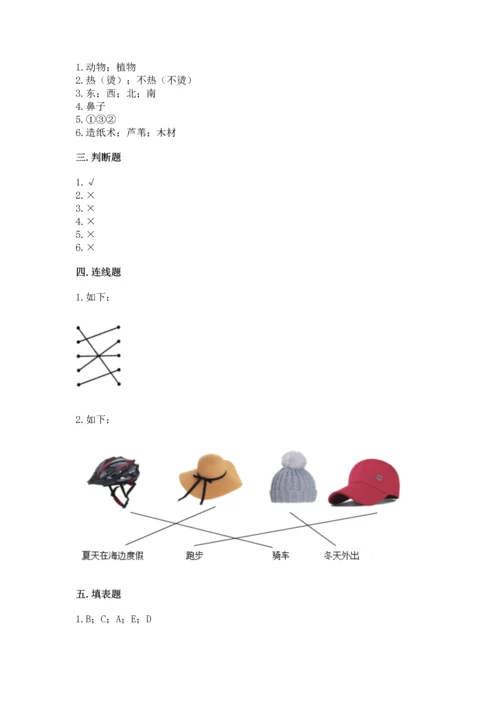 教科版科学二年级上册《期末测试卷》完整答案.docx