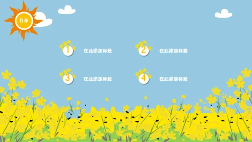 我们一起看油菜花幼儿教育通用PPT课件