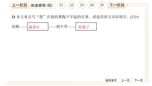 统编版八上语文第二次月考综合检测卷 习题课件（41张PPT）