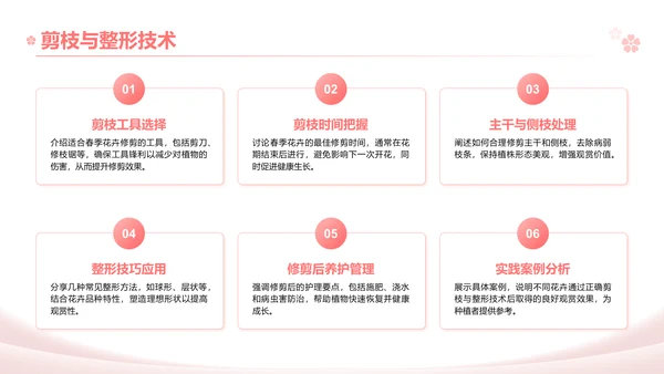 粉色实景风春季花卉主题汇报PPT模板