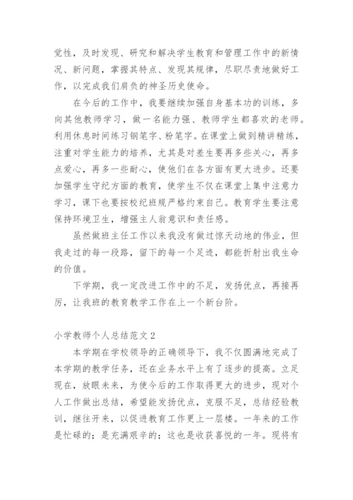 小学教师个人总结.docx