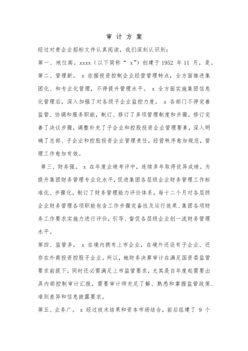 会计师事务所审计专项方案.docx