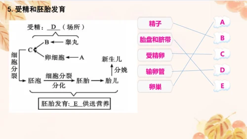 人教版（新课标）七下生物第四单元第一至三章复习课件(共34张PPT)