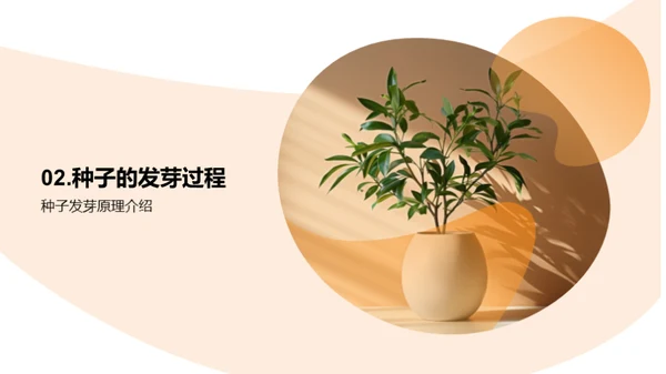 揭秘植物生长奇观