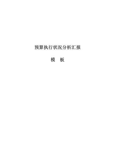 预算执行情况分析报告.docx