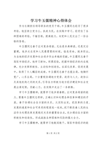 学习牛玉儒精神心得体会 (6).docx