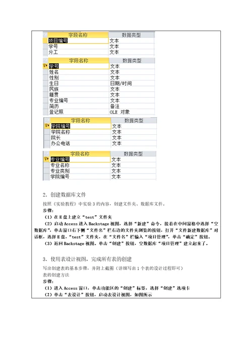 Access实践报告