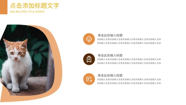 可爱宠物店猫猫狗狗通用PPT模板