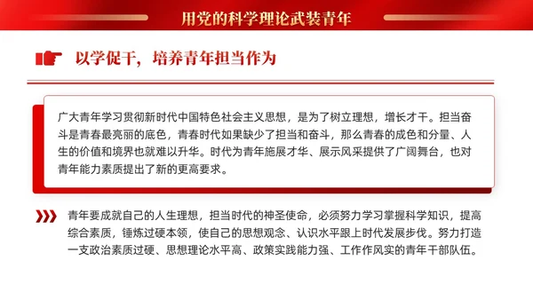 红色党建抓好后继有人推动主题教育走深走实PPT