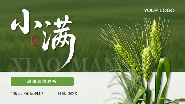 绿色小满节气介绍通用模板