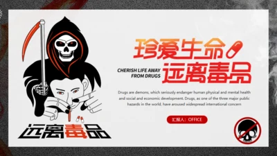 珍爱生命远离犯罪禁毒通用PPT课件