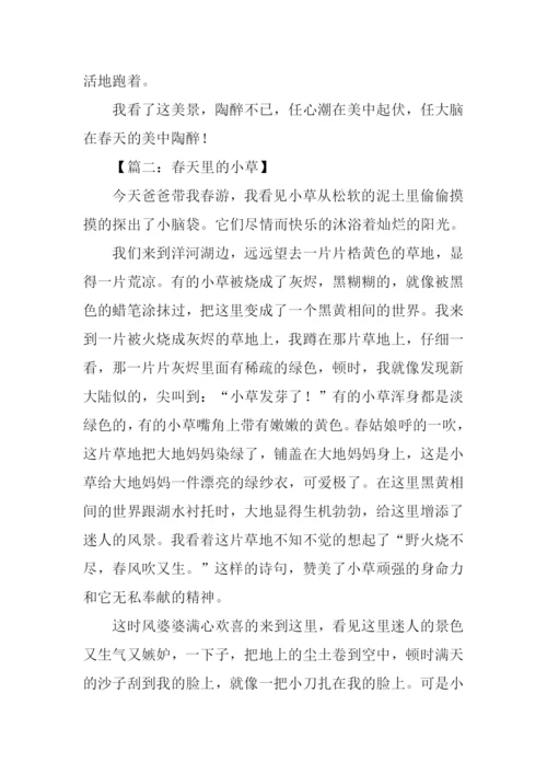 春天的作文四年级.docx