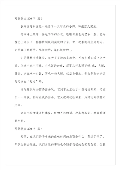 2022写物作文300字 47