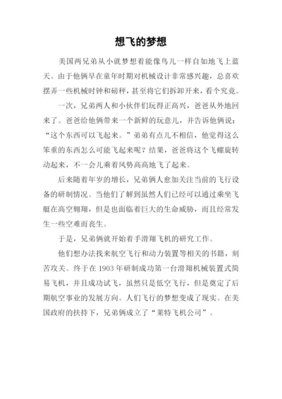 想飞的梦想0.docx