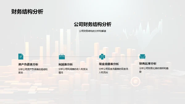 财务状况月度分析