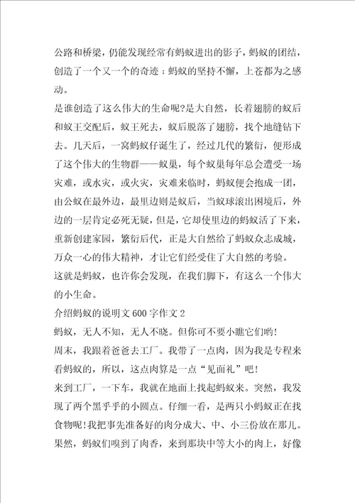 介绍蚂蚁的说明文600字作文5篇