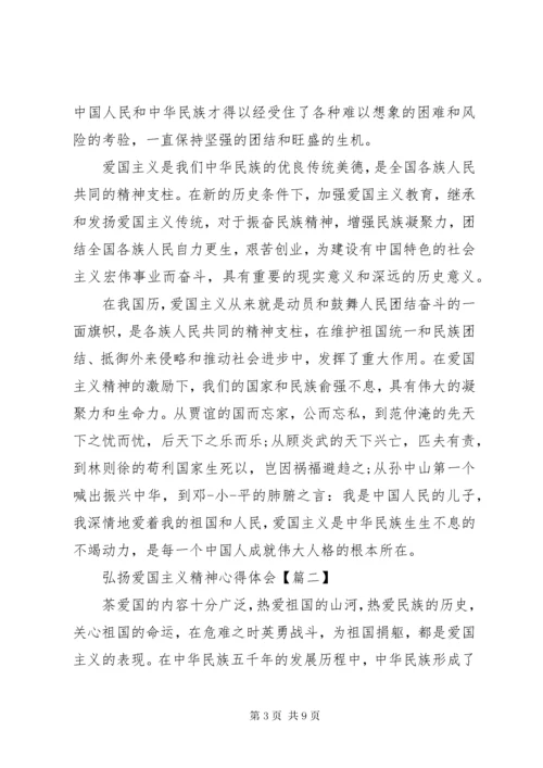 弘扬爱国主义精神心得体会.docx