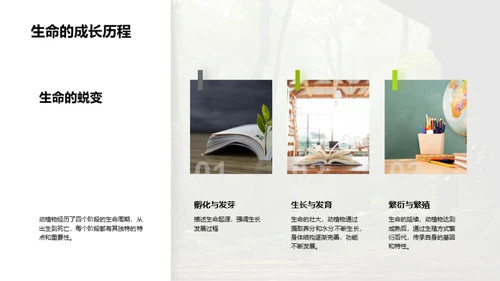 生态守护之旅