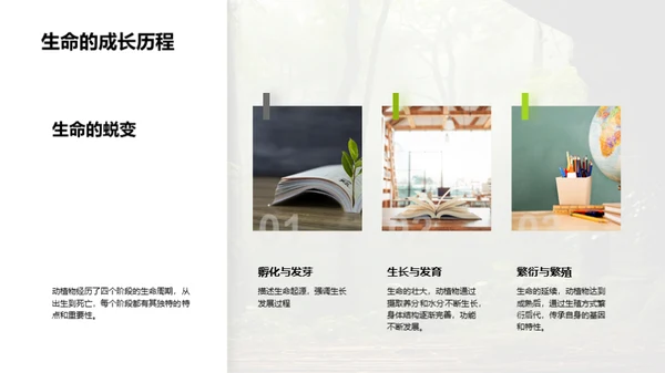 生态守护之旅