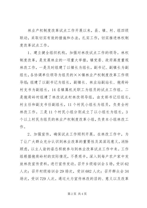 乡镇深化集体林权制度改革成功经验交流.docx