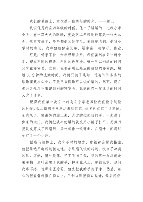 初中作文友谊精选范文五篇.docx