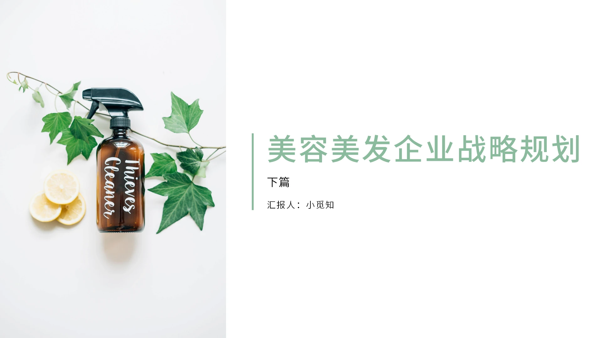 绿色清新美容美发企业战略规划PPT模板美容美发企业战略规划2